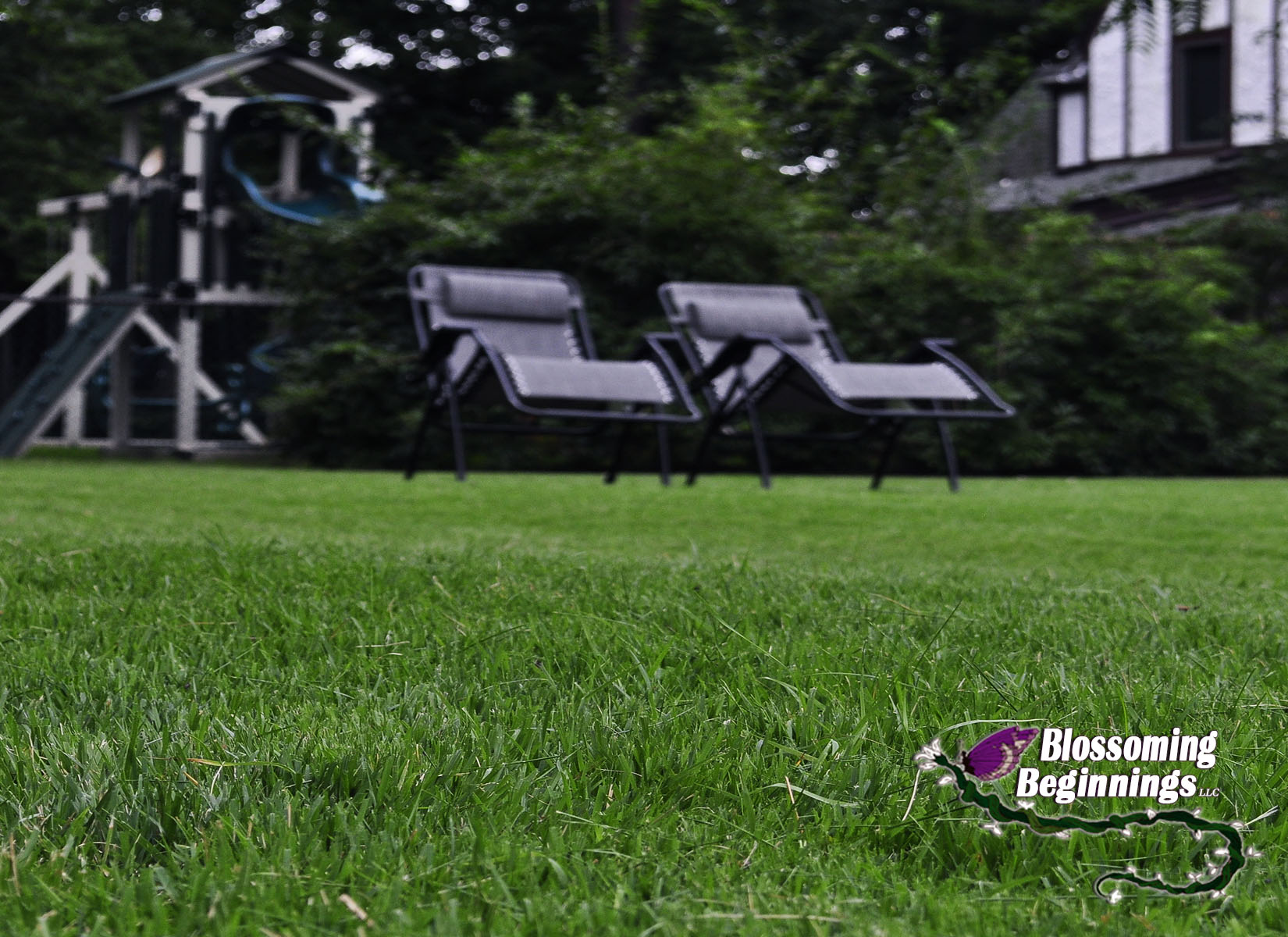Landscape Maintenance, Teaneck, NJ