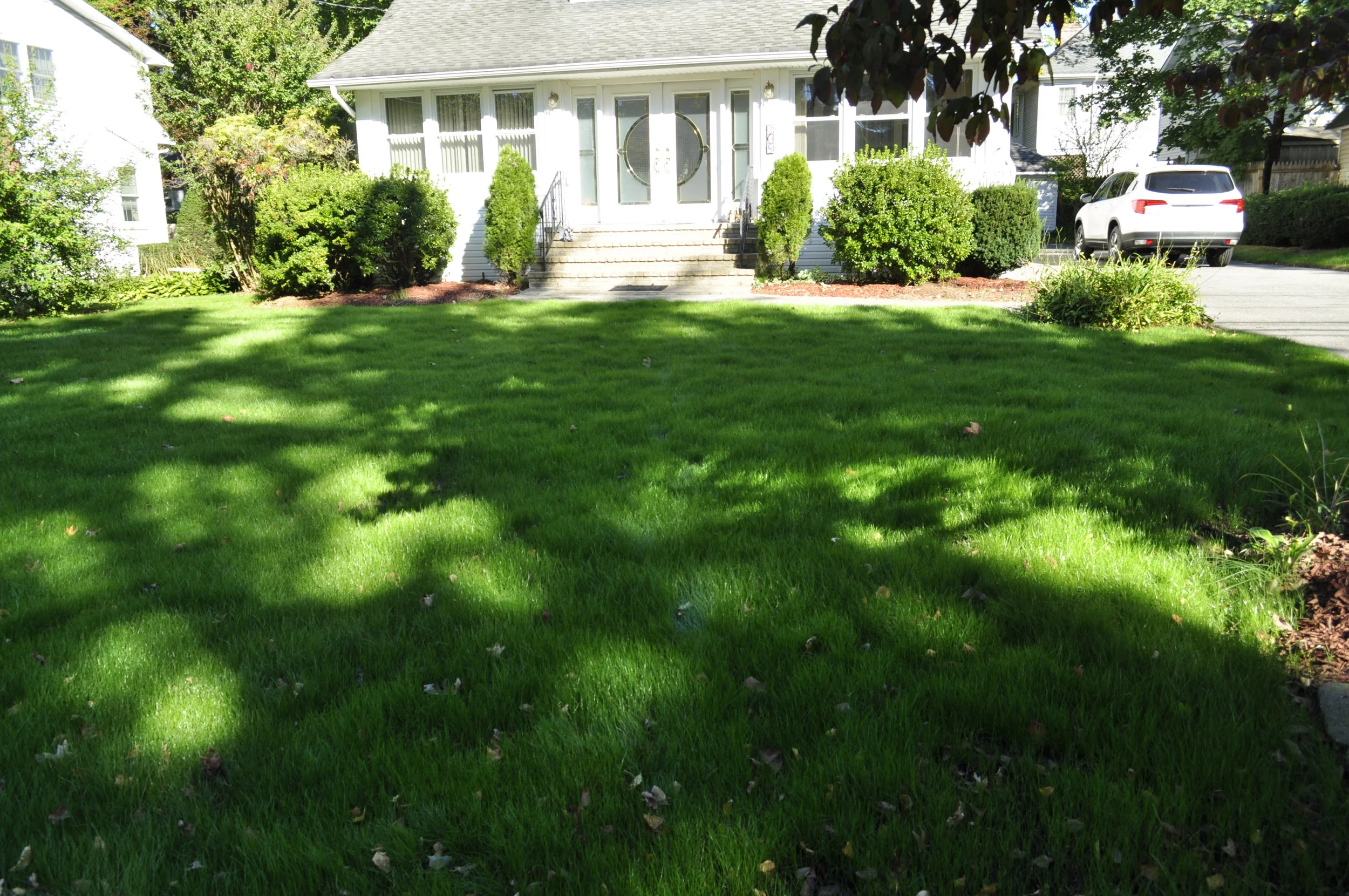 Lawn Repair by Blossoming Beginnings