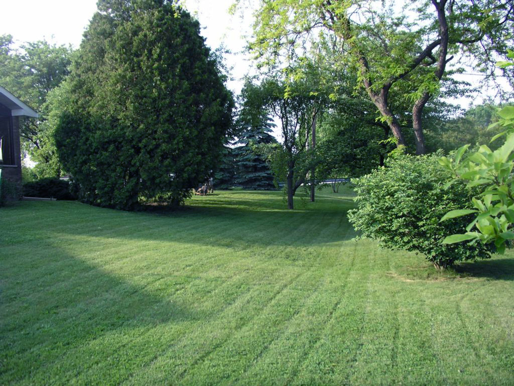 Landscape Maintenance, Leonia