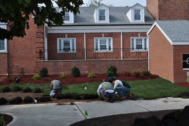 Sod Installation, North Arlington