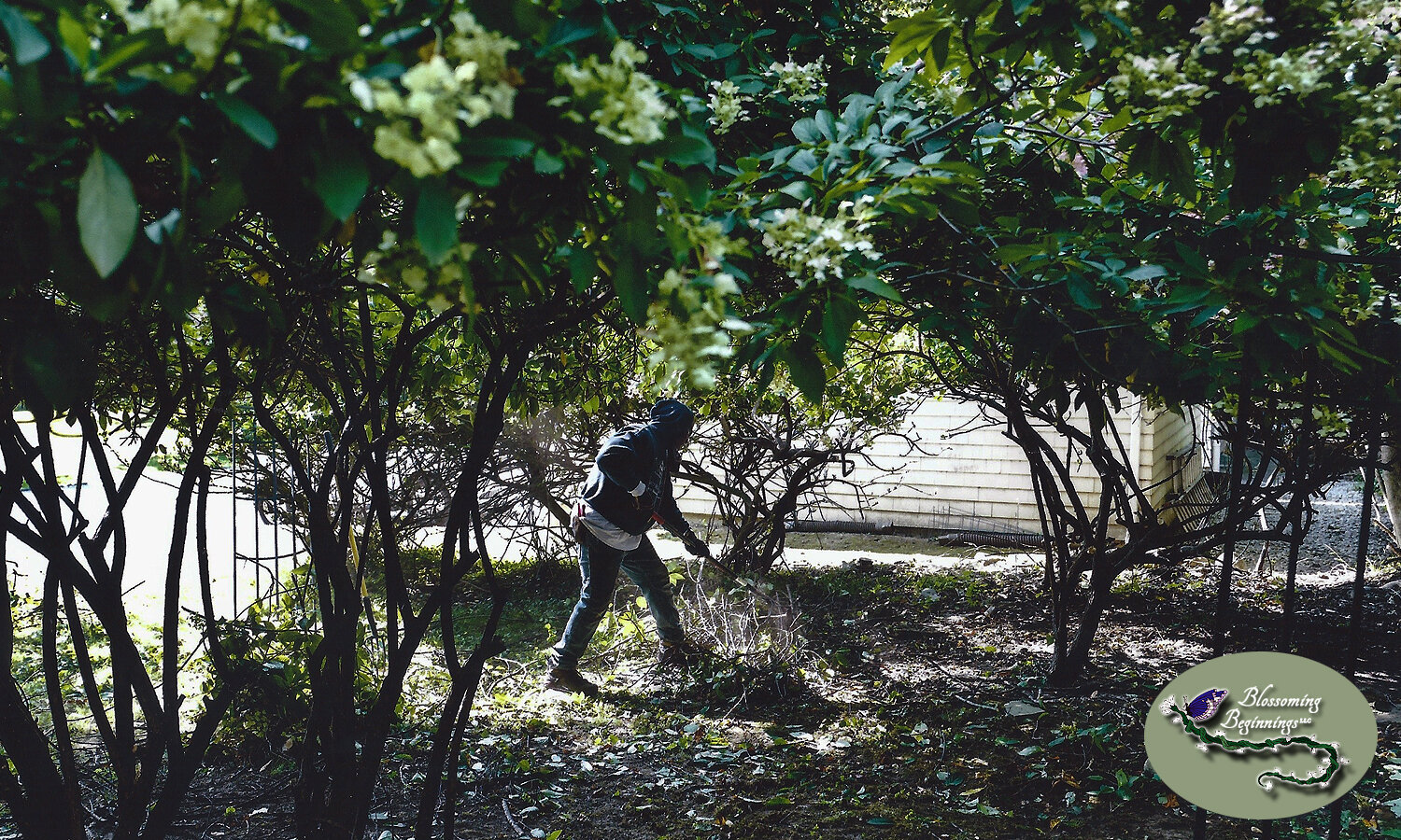 Horticultural Care_Blossoming Beginnings