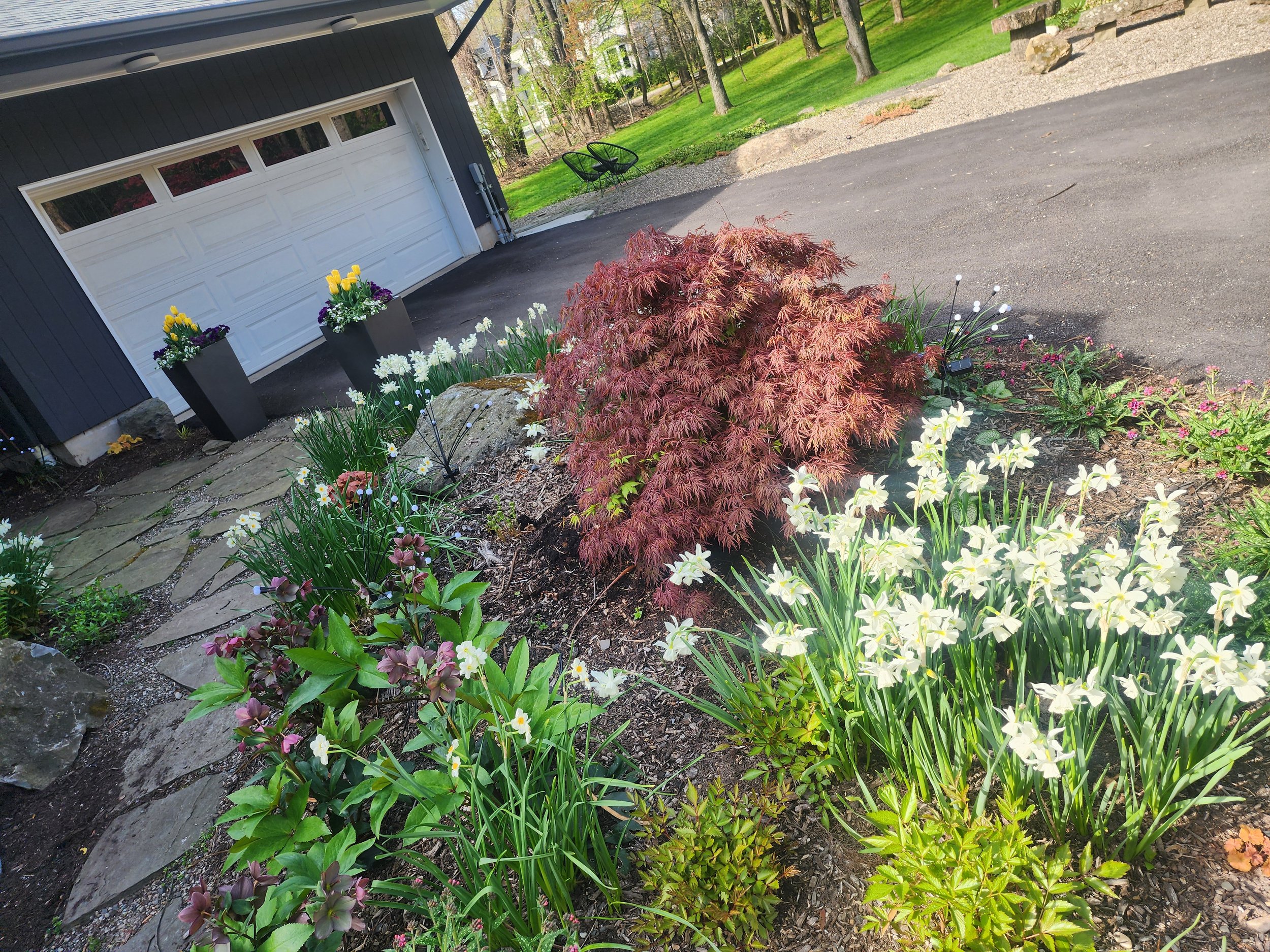 Custom Landscape Design - Blossoming Beginnings