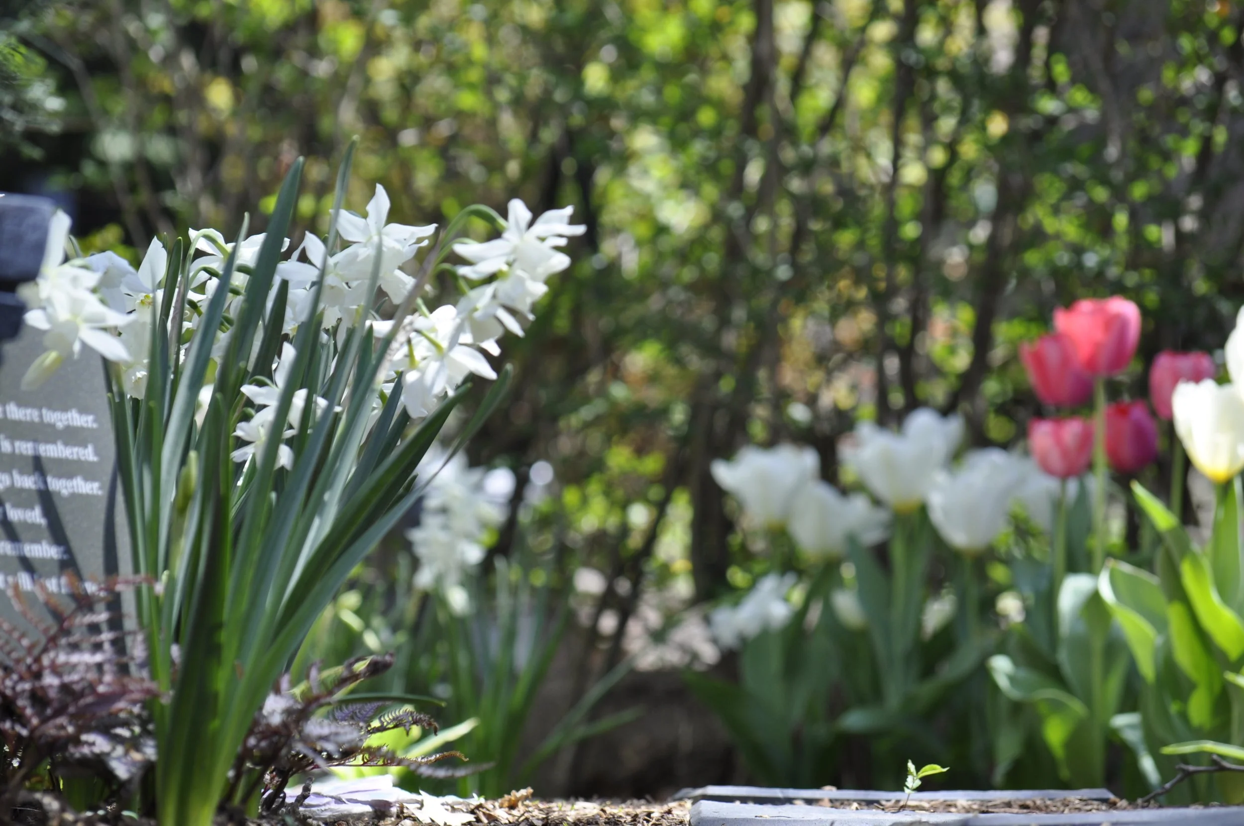 Landscape Design | Bergen County