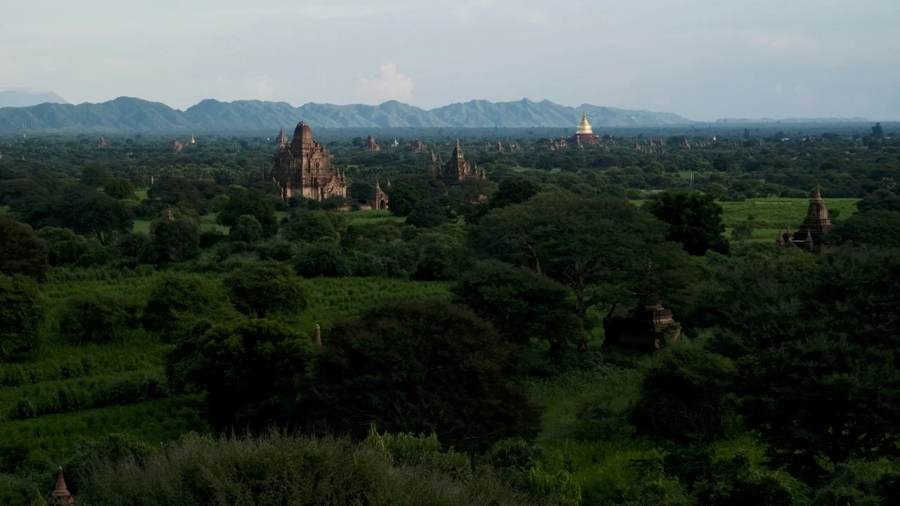 DSCF4169.jpg