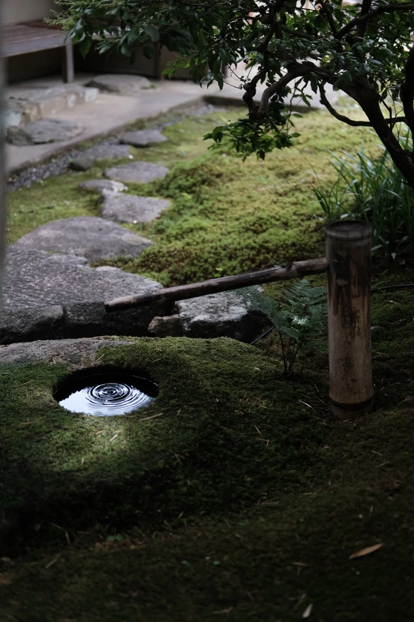 DSCF1629.jpg