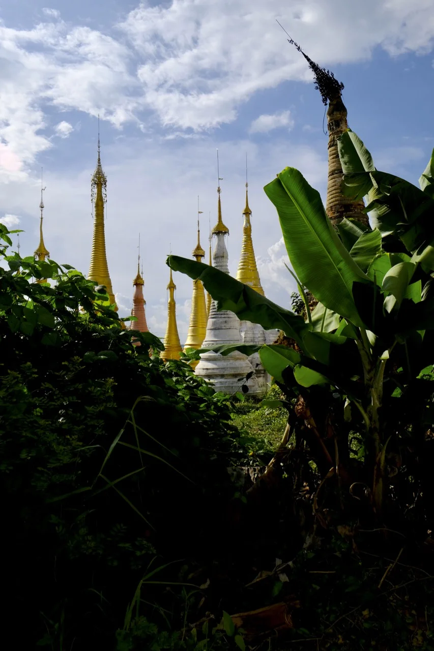 DSCF6458.jpg