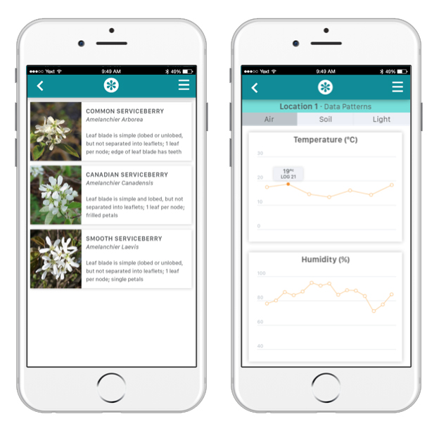 Plant ID and location patterns.
