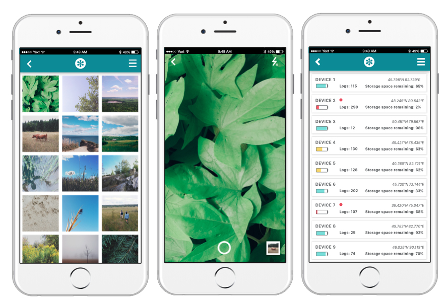 Photograph gallery, camera and device status screen.