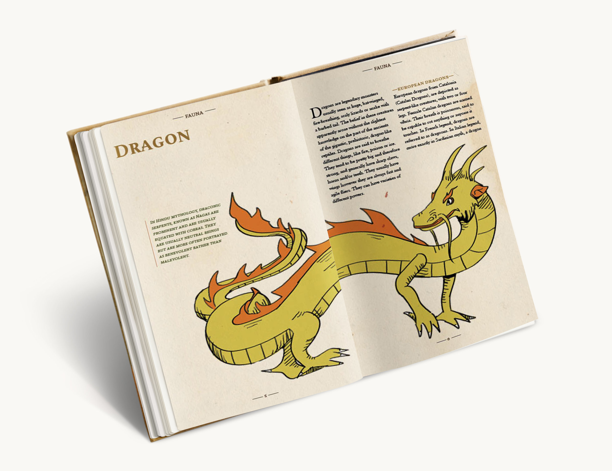 f2-dragon.jpg