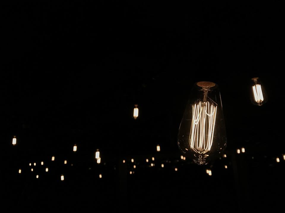Festoon Edison bulbs