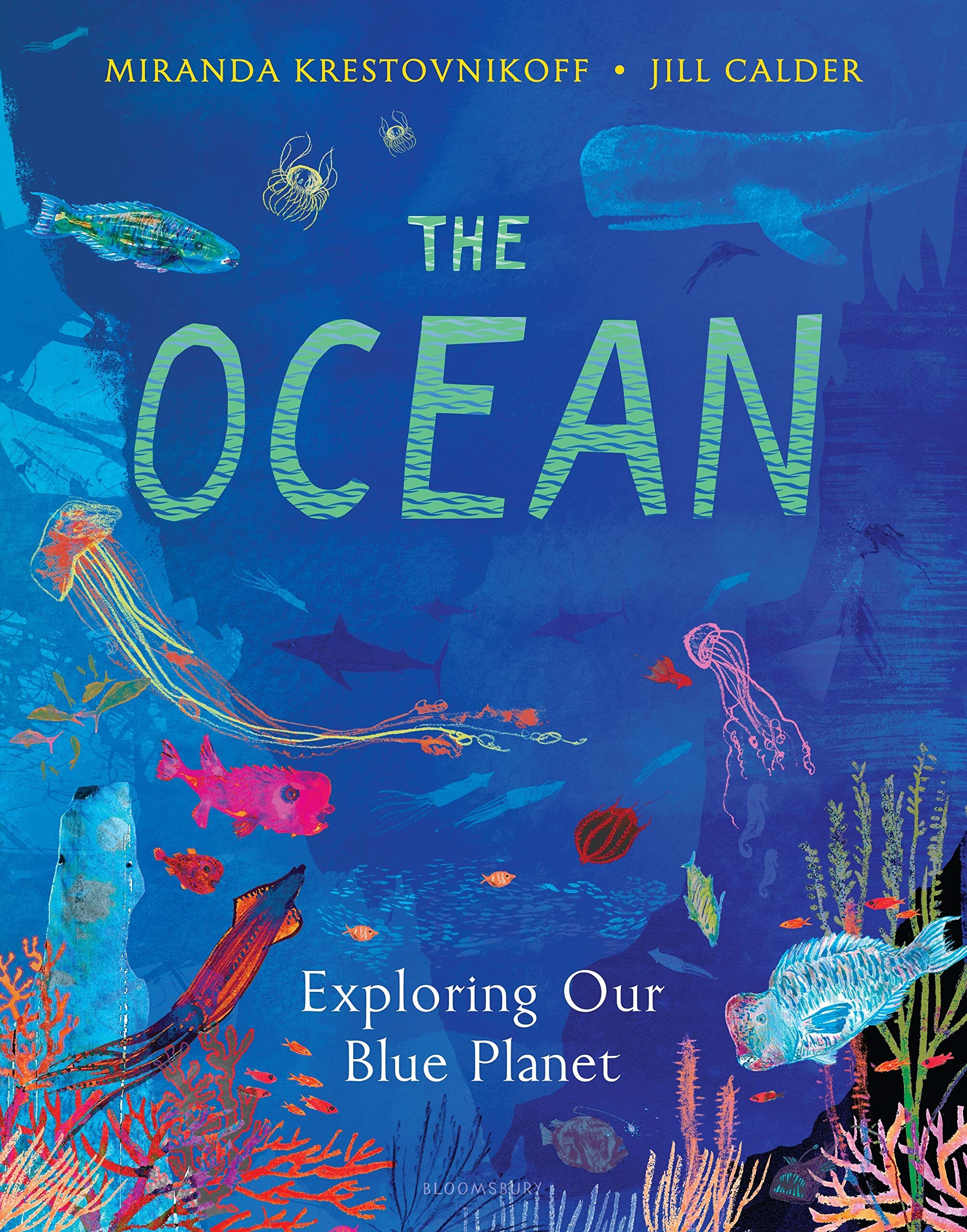 The Ocean: Exploring Our Blue Planet — Midtown Scholar Bookstore-Cafe