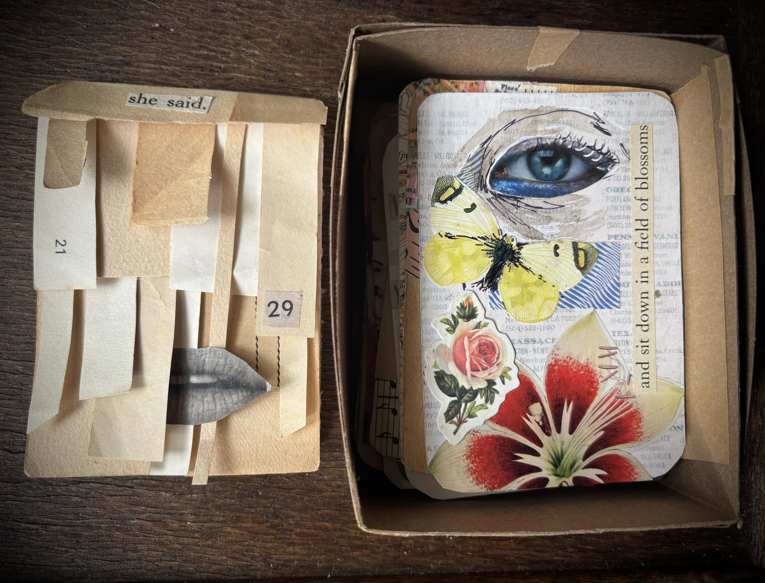 Hybrid collage/illustration