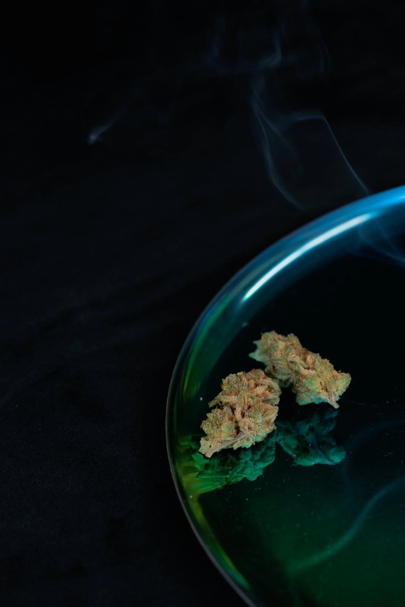 CannabisPortfolio-5.jpg