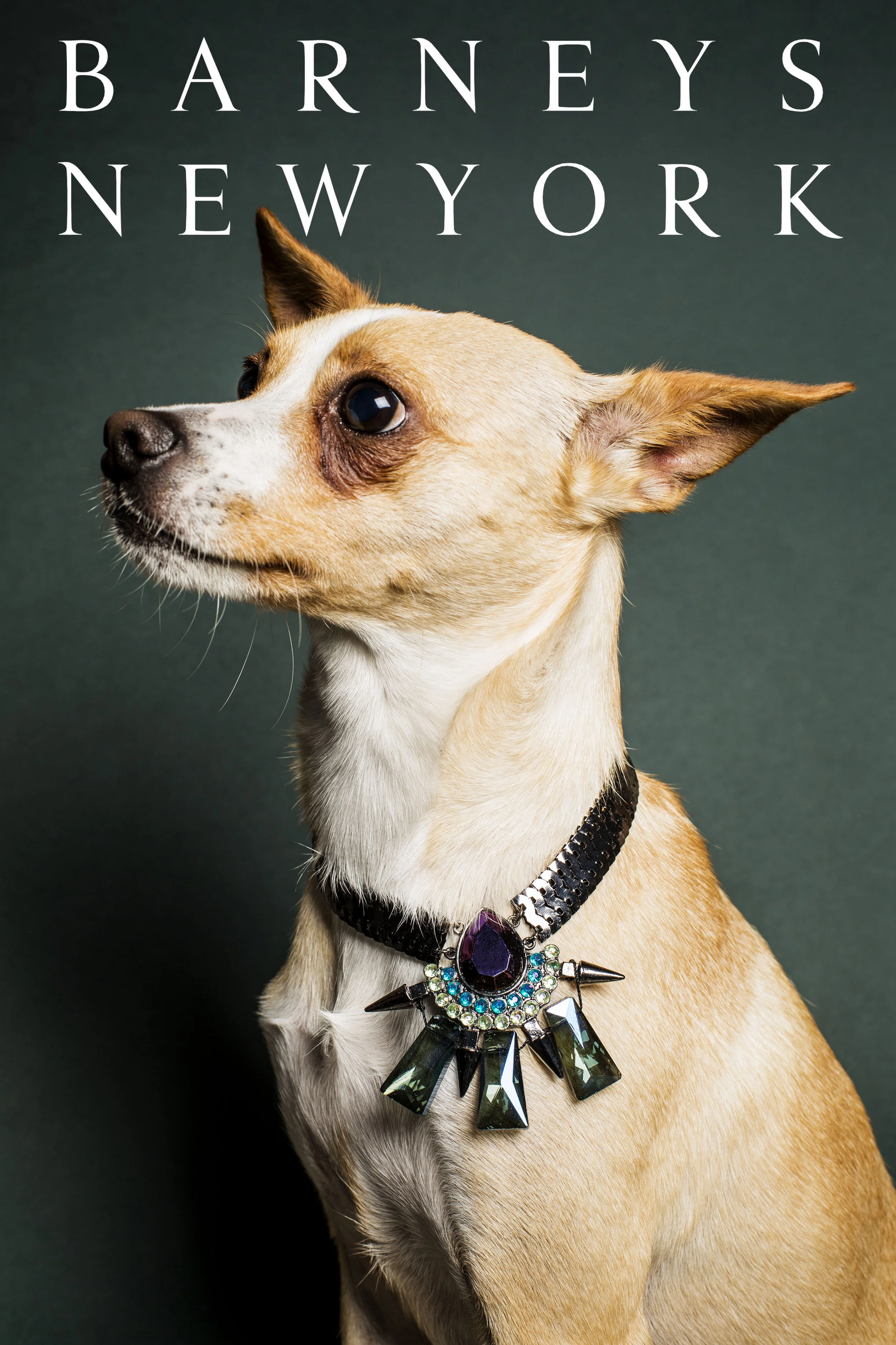 FINAL PAGE 1COVERPAGE.jpg