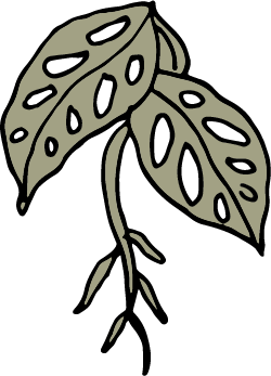 Leaves_2.png