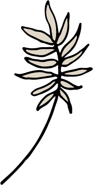 Palm_1.png