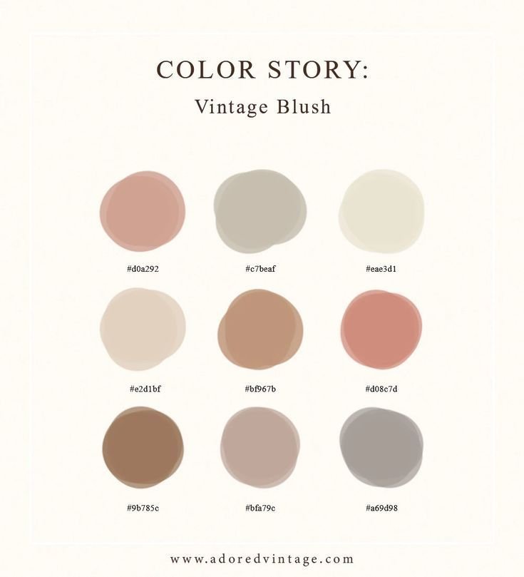 Color Story _ Vintage Blush in 2021 _ Hex color palette, Pantone colour palettes, Brand color palett.jpeg