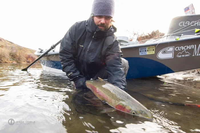 5 weeks of steelhead and it should be good!