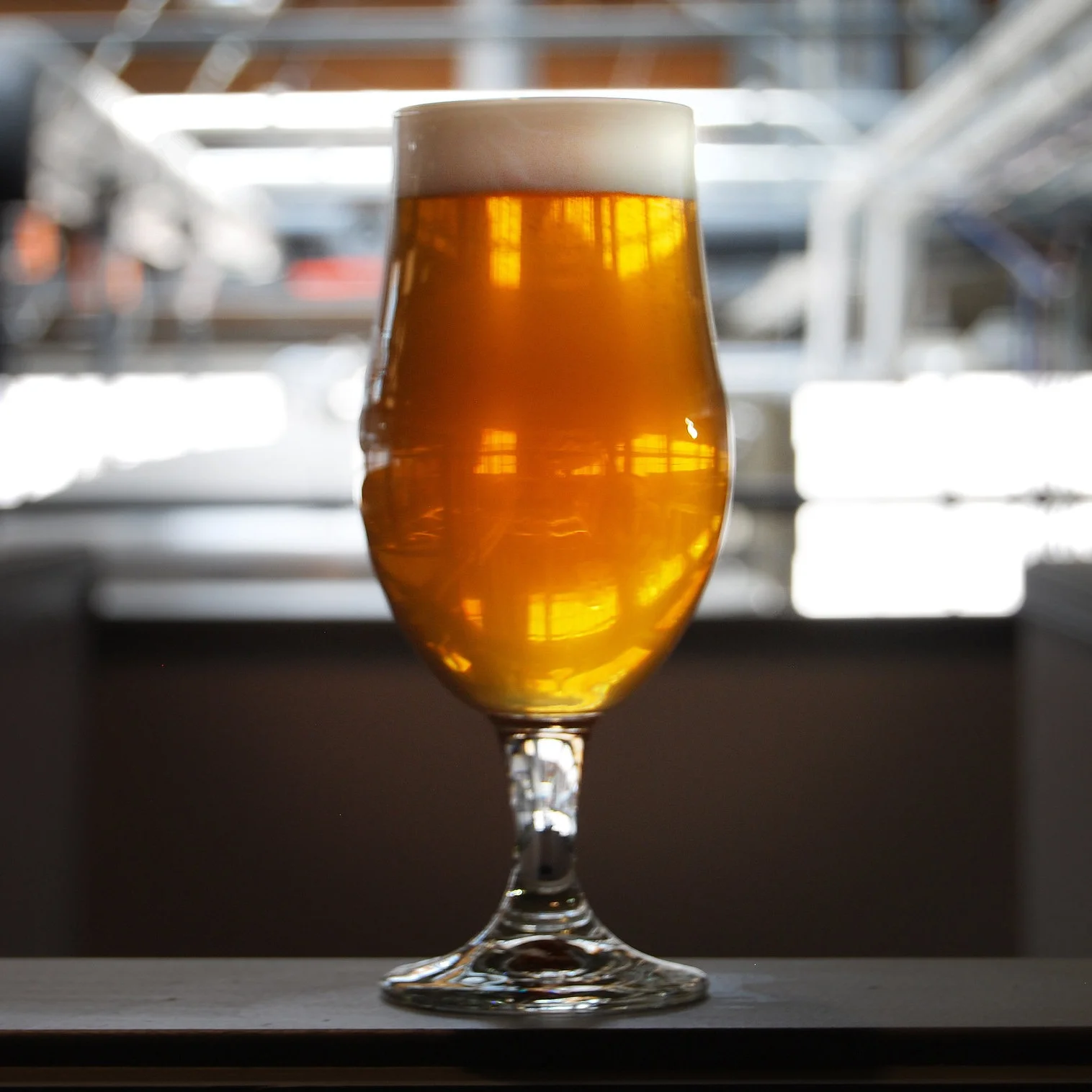 Glass of Viking Blonde ale.