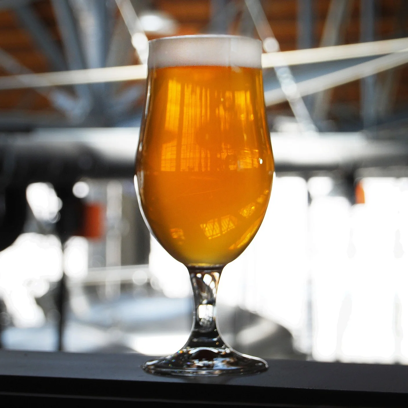 Glass of Batch One ale.