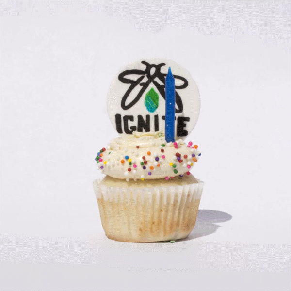 GIF for a birthday email campaign at IGNITE