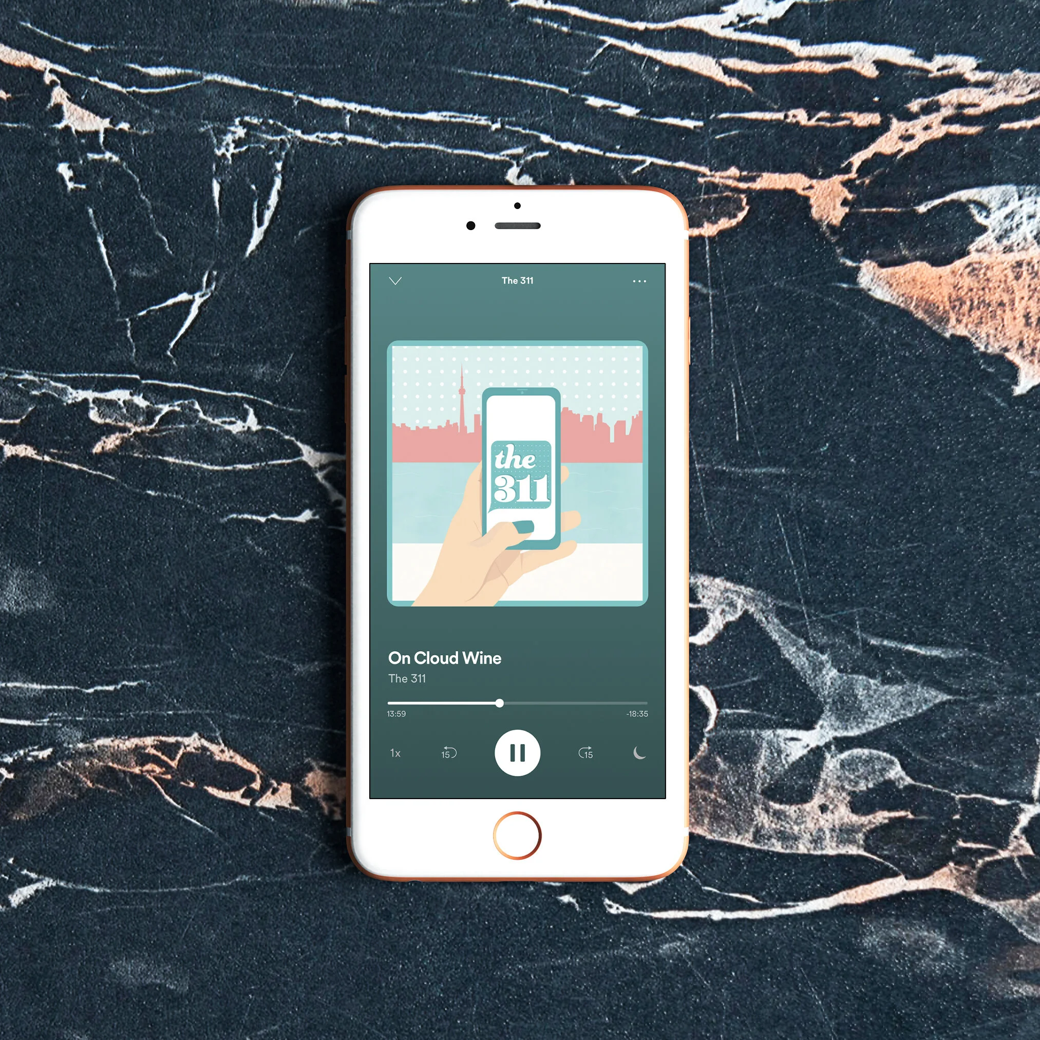 311 Podcast Cover.jpg