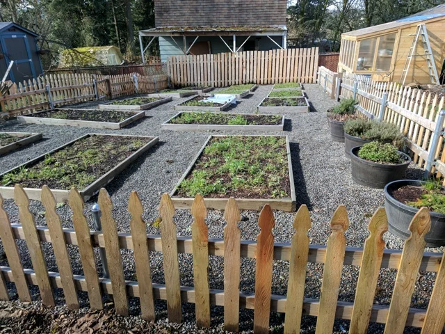 McMackin's vegetable gardens.