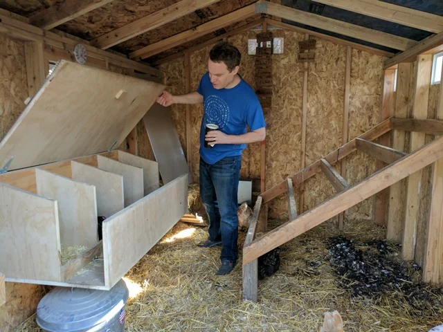 Ryan looking in on their latest egg laying girl!