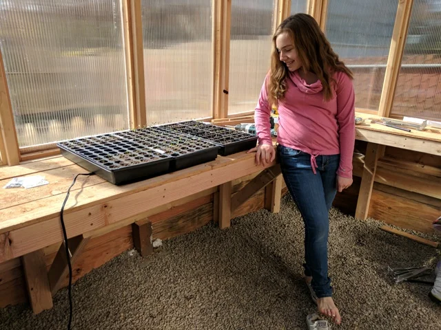 Chloe checks in on tomato seedlings.