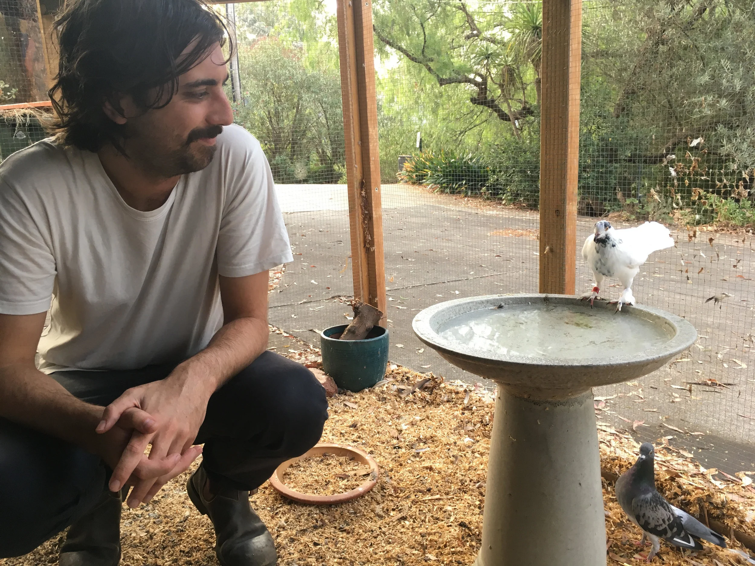 Jake with his rescue pigeon, Vita