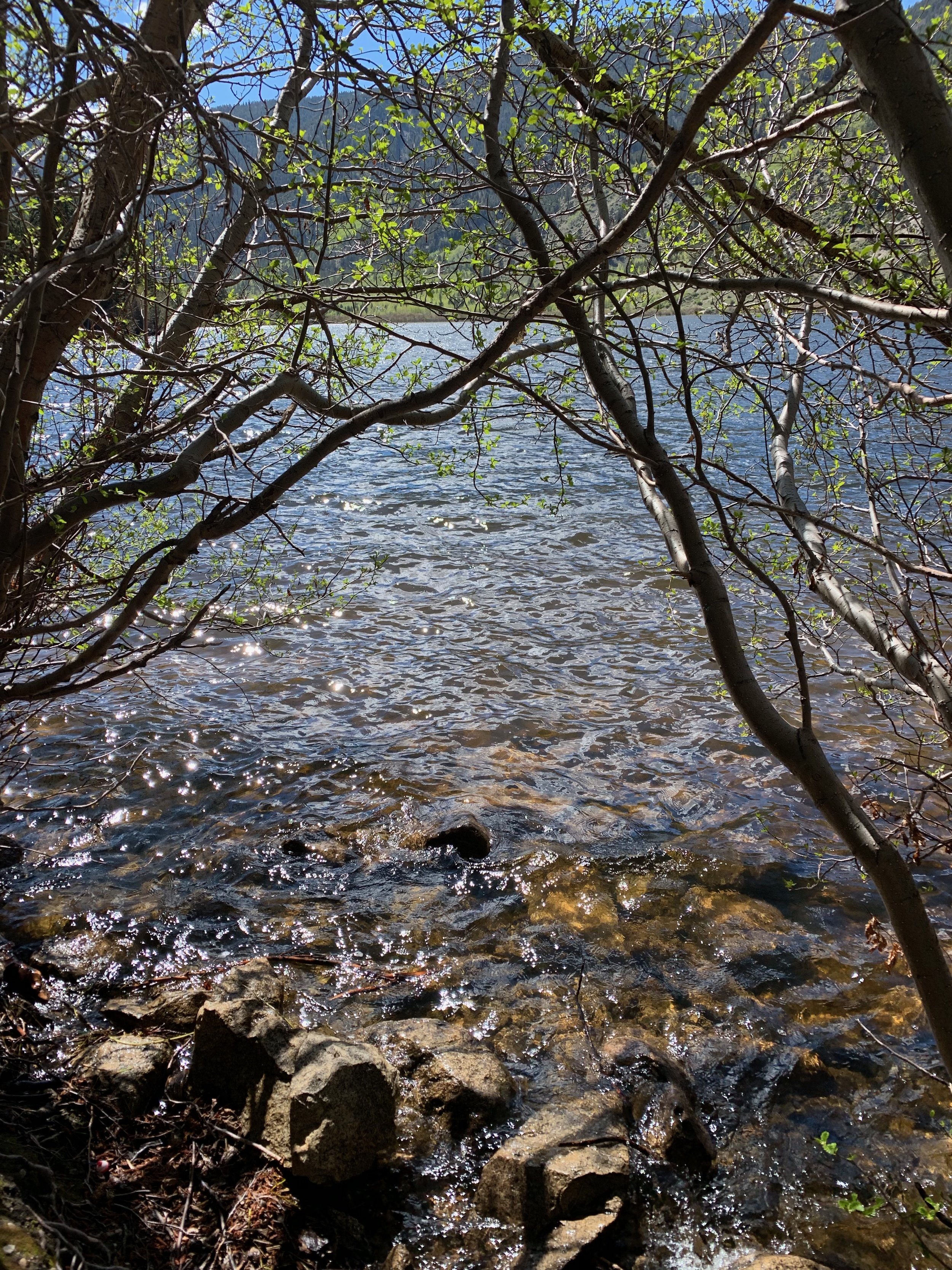 Cottonwood Lake.jpeg