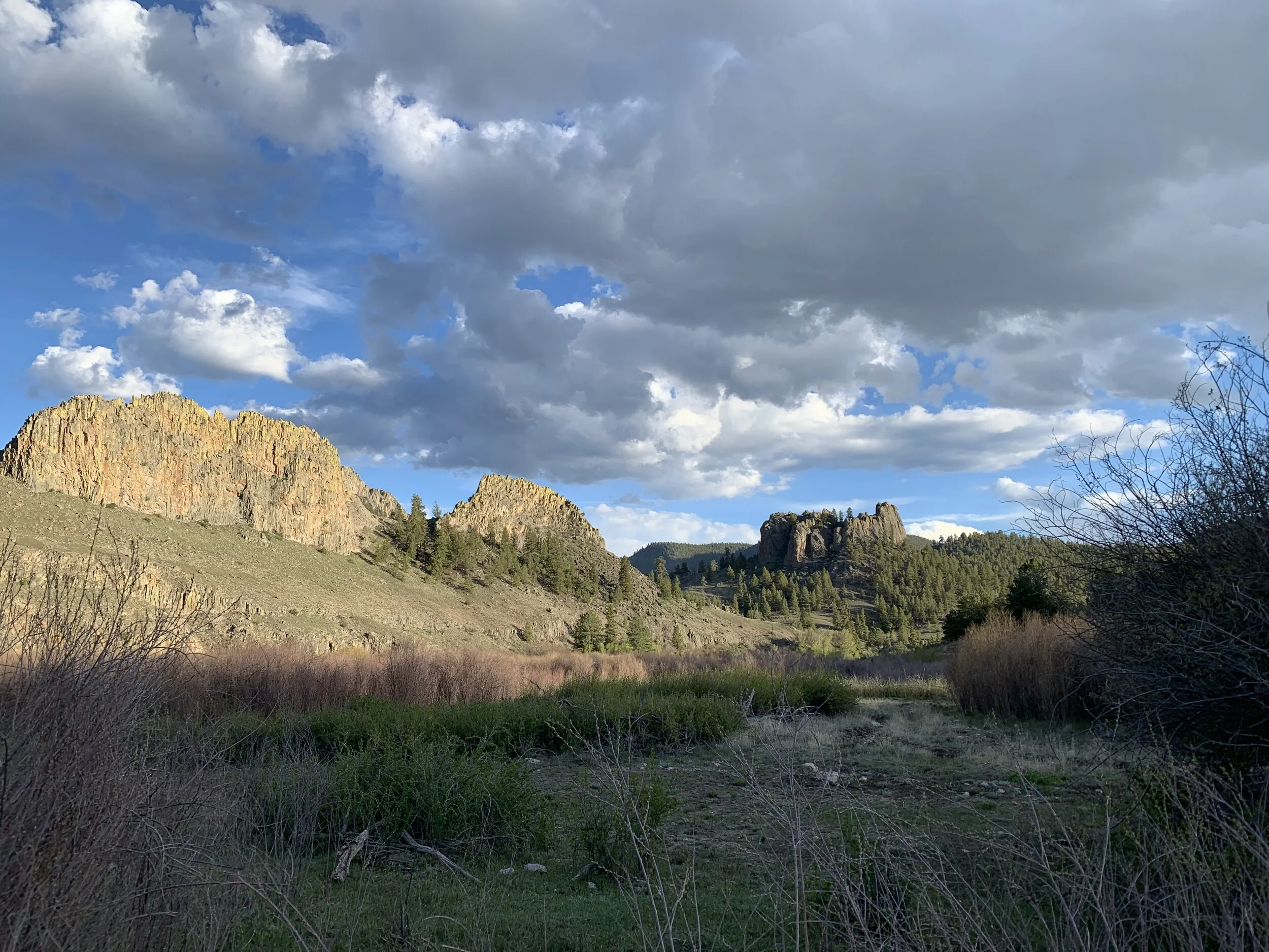 Also Four Mile Recreation Area