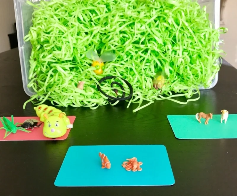When children are learning categories, it's helpful to offer visual clues for how and where to group items. This can be done with written category names (e.g., "Insects," "Ocean Animals," "Farm Animals"), pictures, containers, or even just pieces of paper in different colors. 