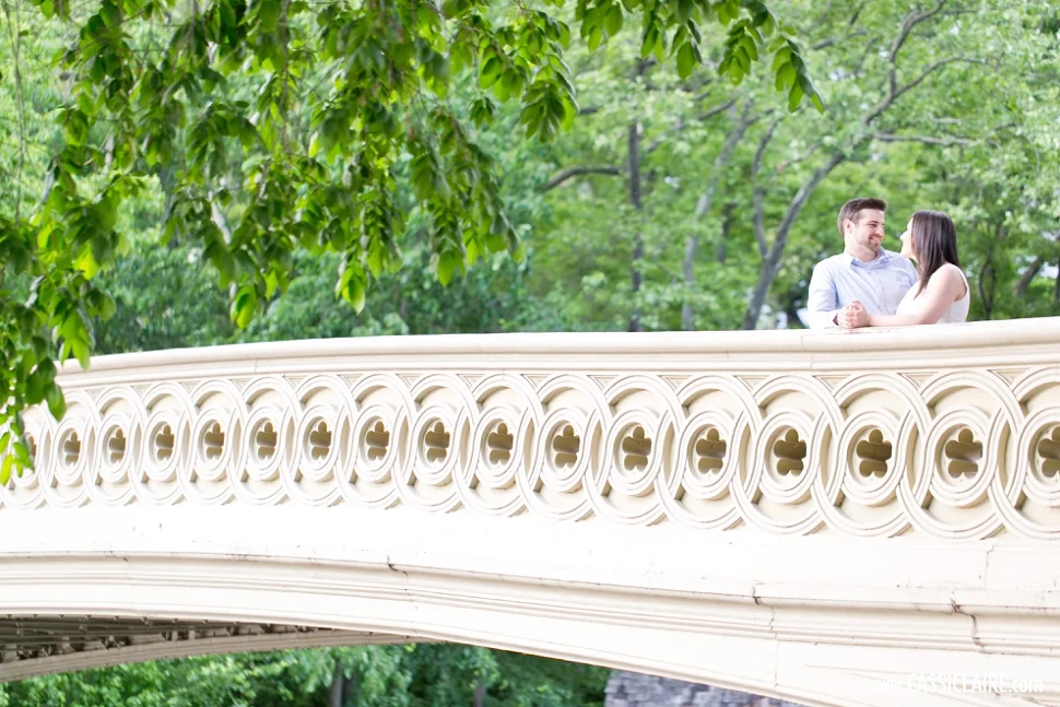 CENTRAL PARK ENGAGEMENT: BRIAN + CATHY