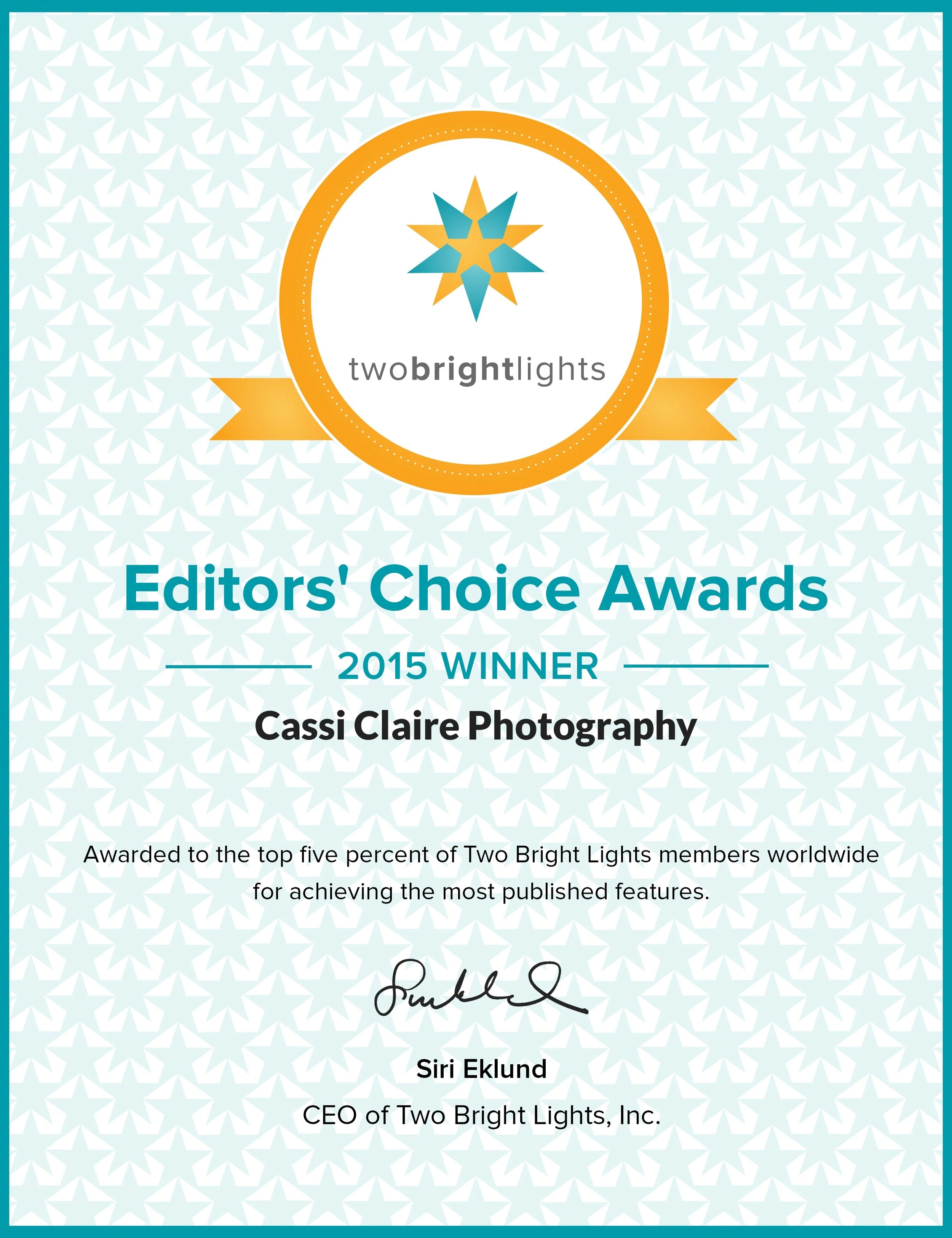 EDITOR'S CHOICE AWARD 2015: TWO BRIGHT LIGHTS
