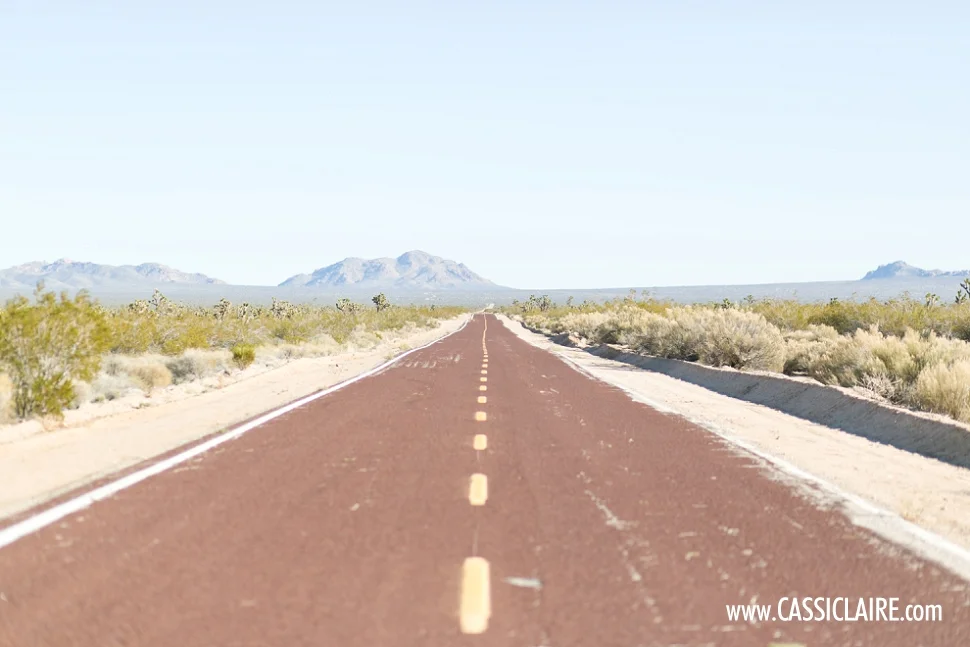 MOJAVE DESERT ROADTRIP: SUNSHINE + CACTI