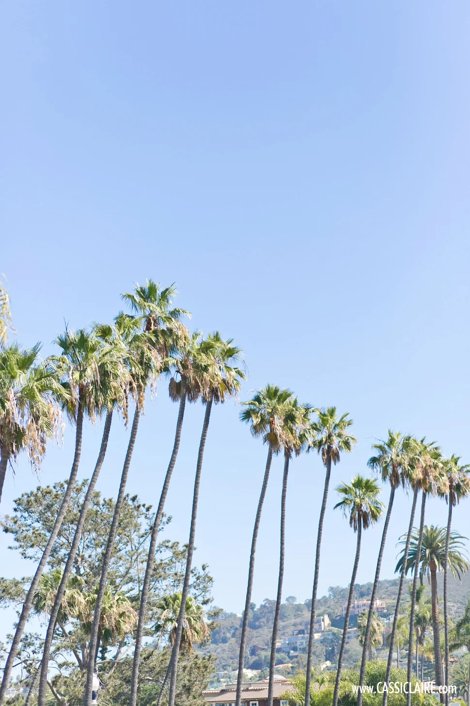 CHRIS &amp; CASSI DO CALIFORNIA