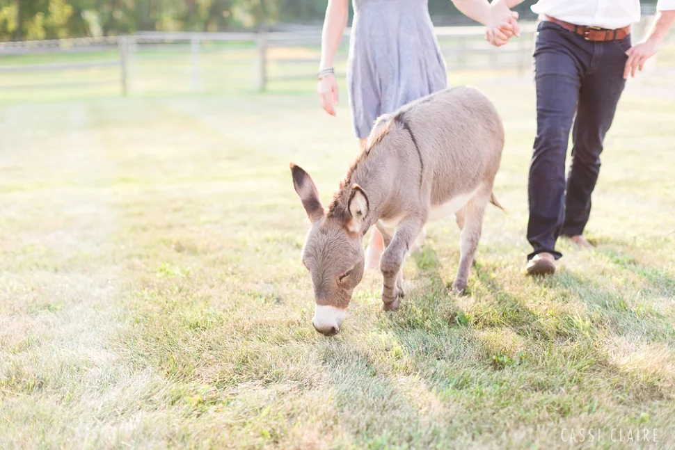 NJ FARM ENGAGEMENT PHOTOS: ROB + ANNABEL