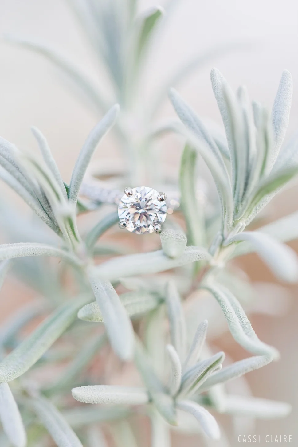 WASHINGTON CROSSING ENGAGEMENT: ADAM + TRACY