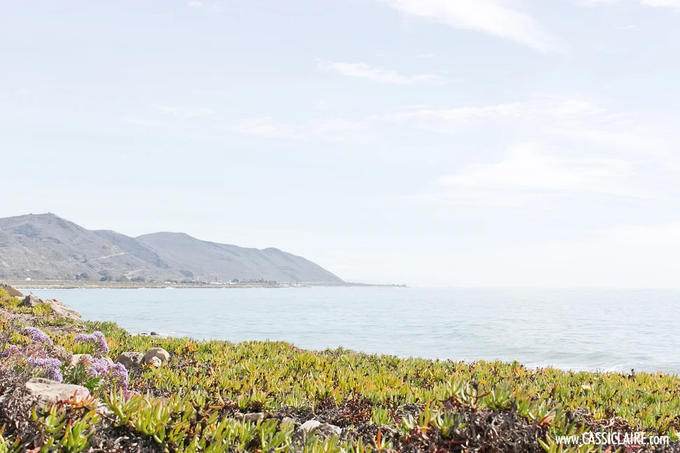 Santa-Barbara-Wedding-Photographer_09.jpg