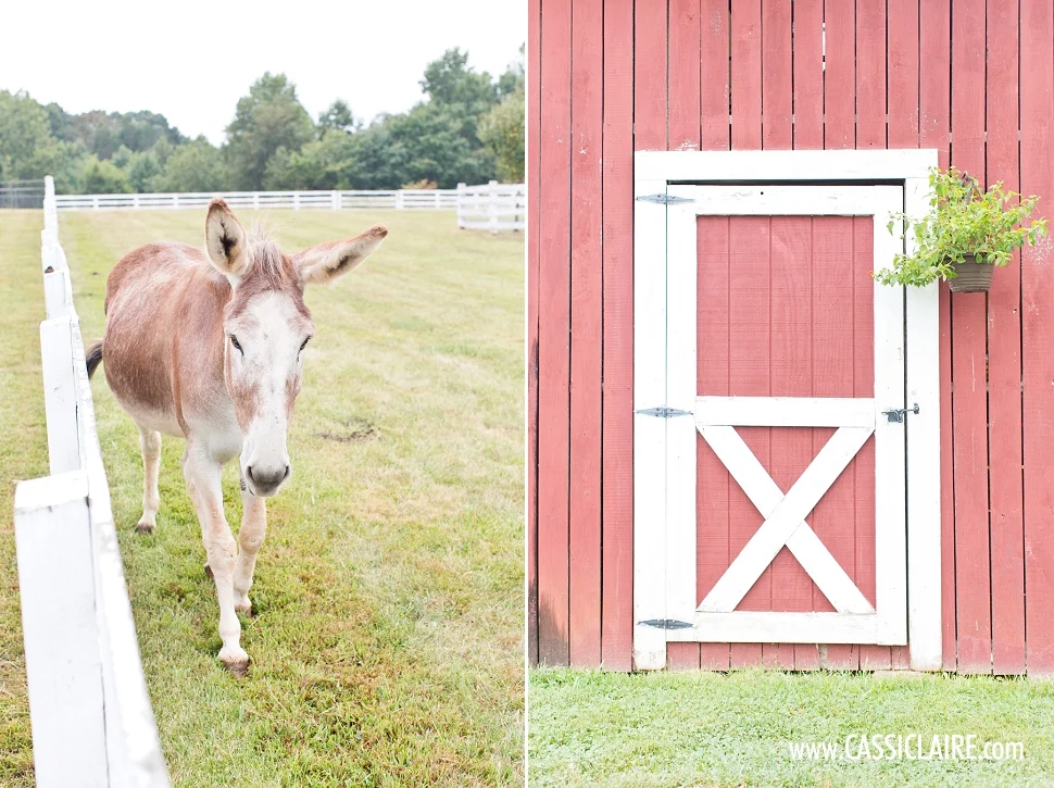 Inn-at-Westwood-Farm-Wedding-VA_002.jpg