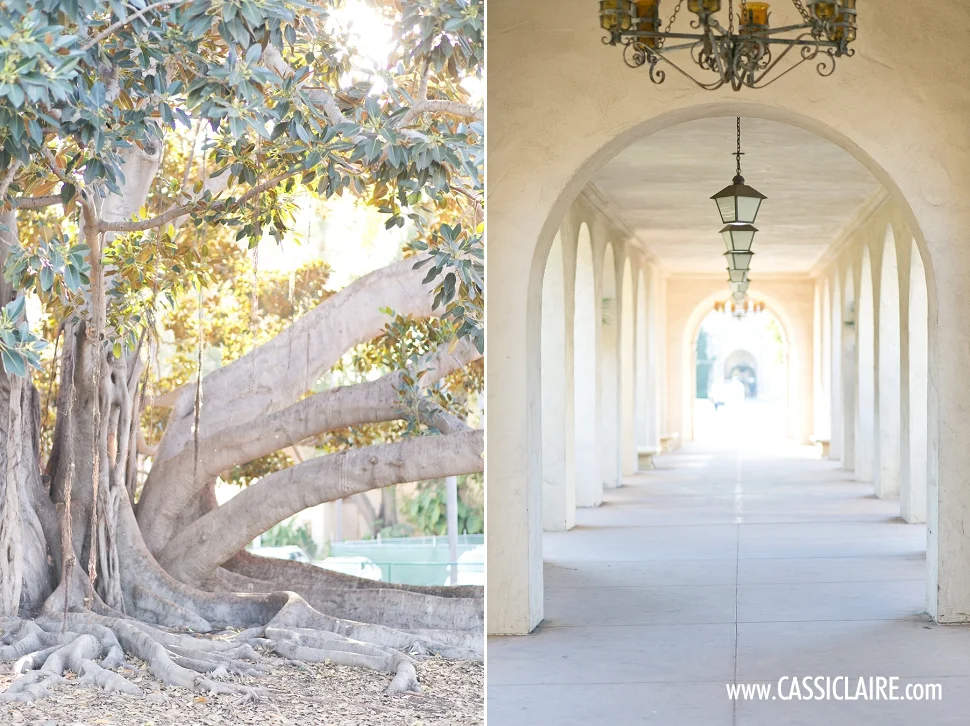 California-Photographer_CassiClaire_09.jpg