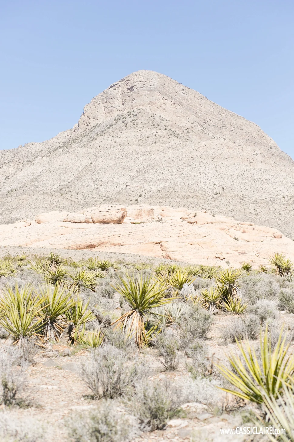 Mojave-Desert-Red-Rock_CassiClaire_06.jpg