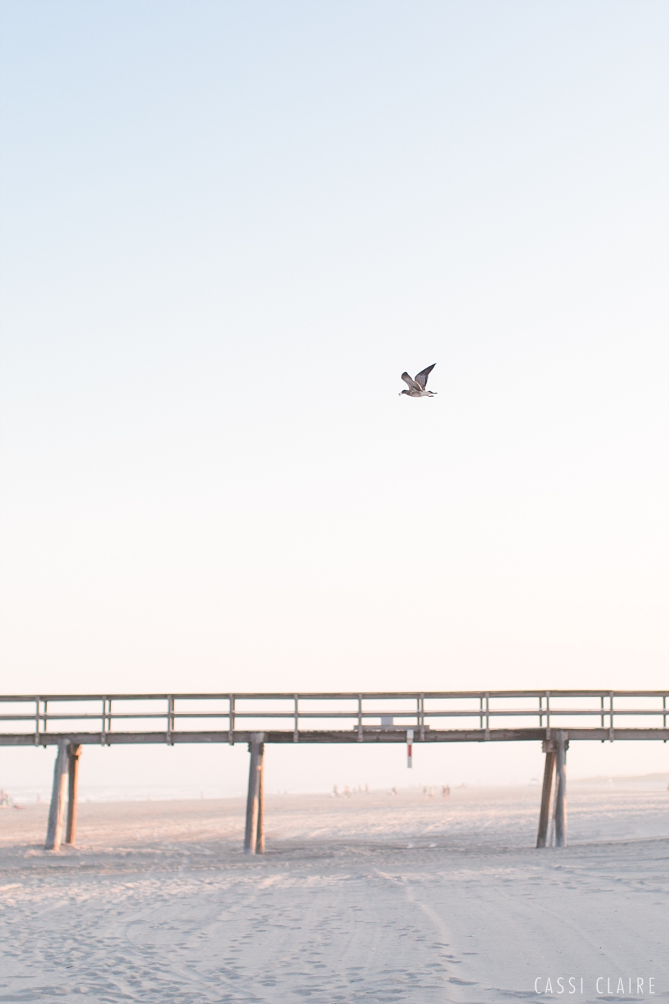 Best-NJ-Engagement-Photos-CassiClaire_02.jpg