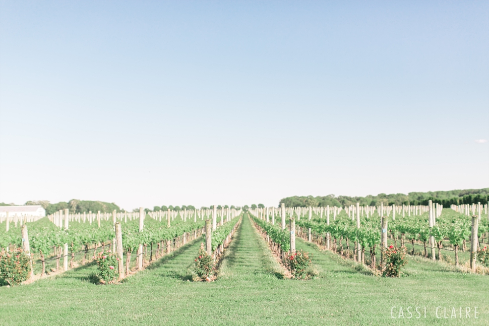 Martha_Clara_Vineyards_Wedding_34.jpg