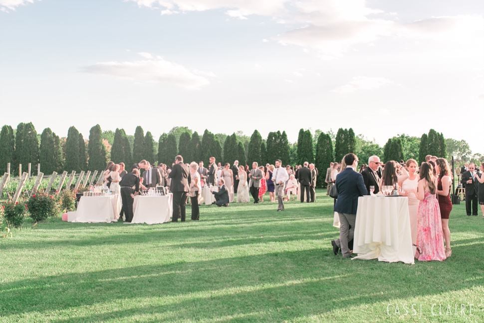 Martha_Clara_Vineyards_Wedding_39.jpg