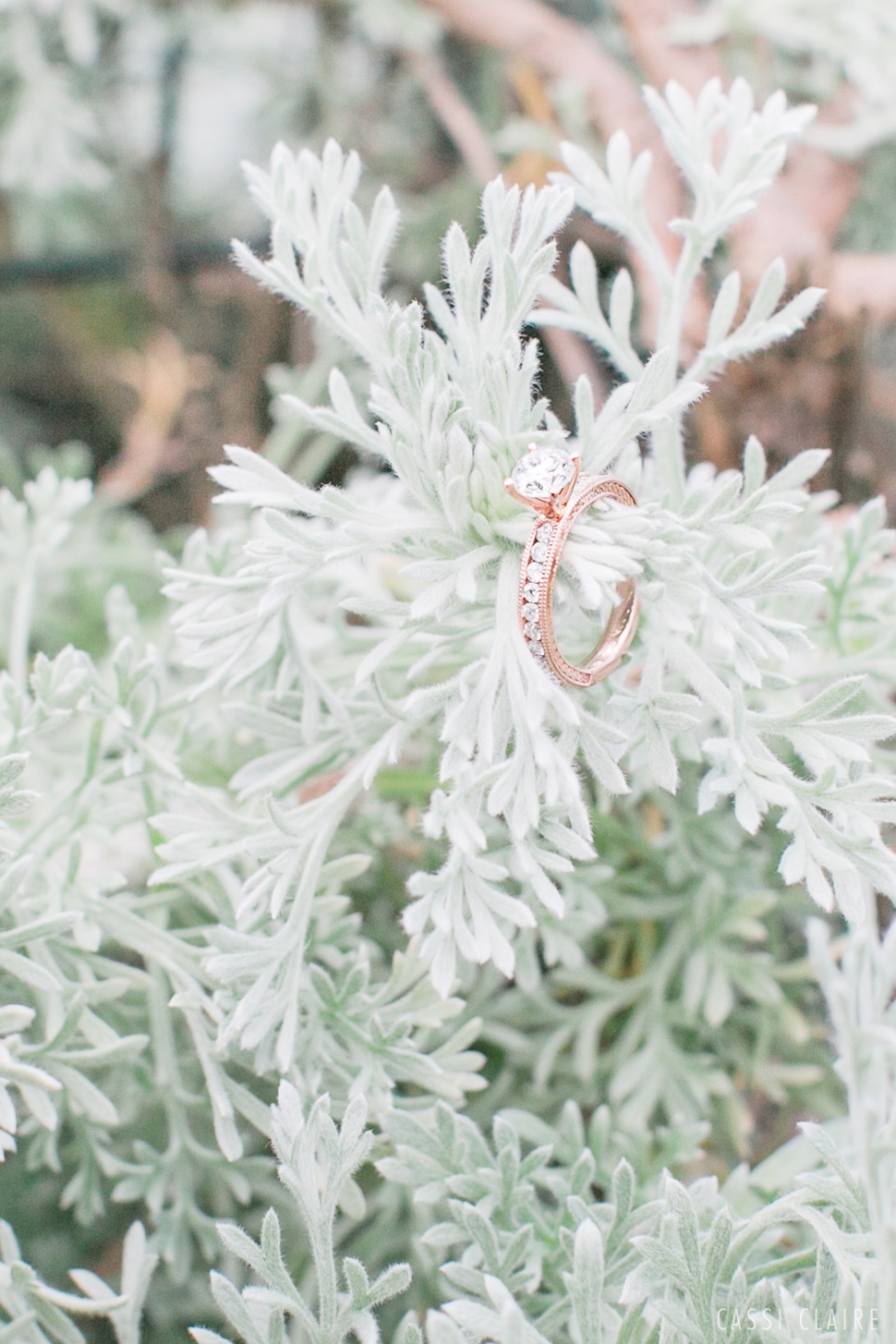 NJ-Engagement-Photos_Cassi-Claire_11.jpg