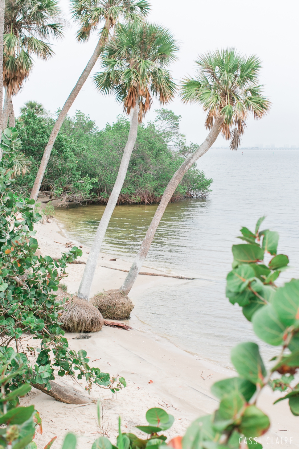 treasure coast wedding photographer