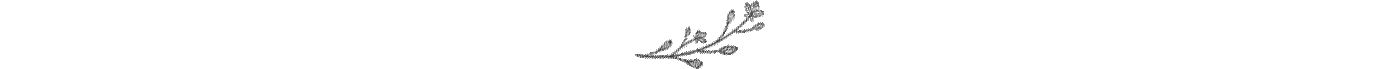 Blog-Post-Graphic-Divider.png
