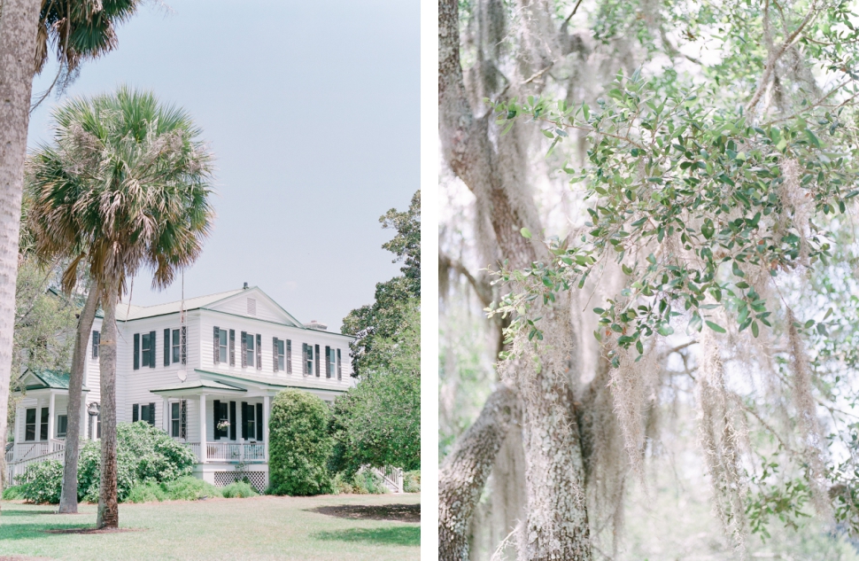 Cypress-Trees-Plantation-Wedding-Charleston-SC-Edisto-Island-Wedding_11.jpg